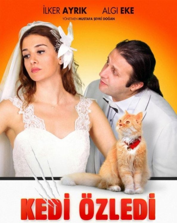 Kedi Özledi Filminde Yeni Müziklerimiz!