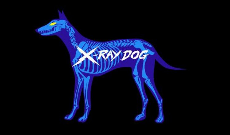 X-Ray Dog artık MAMA'da!